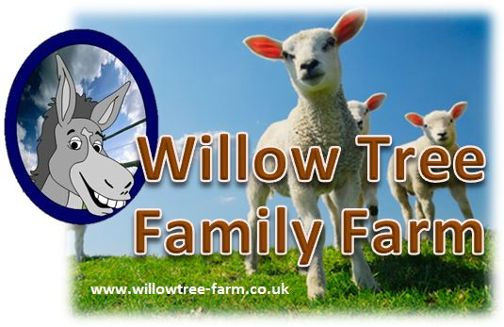 Hands-On Animals & Inland Beach Fun at Willow Tree Farm